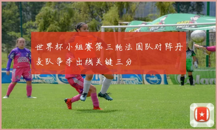 世界杯小组赛第三轮法国队对阵丹麦队争夺出线关键三分