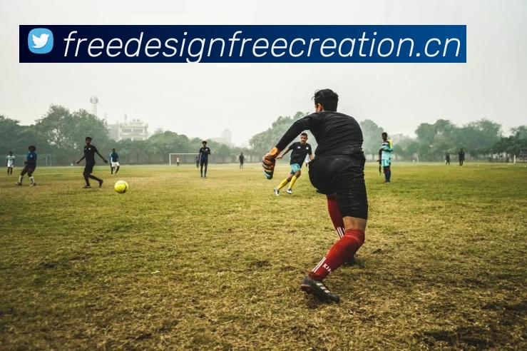 App Interface Preview